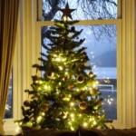 Drawing Room Tree